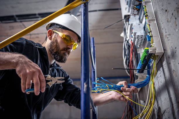 Best Electrical Repair Services  in Alanes Ridge, CA