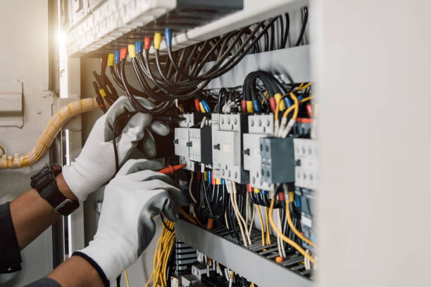 Best Electric Panel Repair  in Alanes Ridge, CA